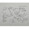 Bolt kit - Honda CBR1000RR 2006-2007